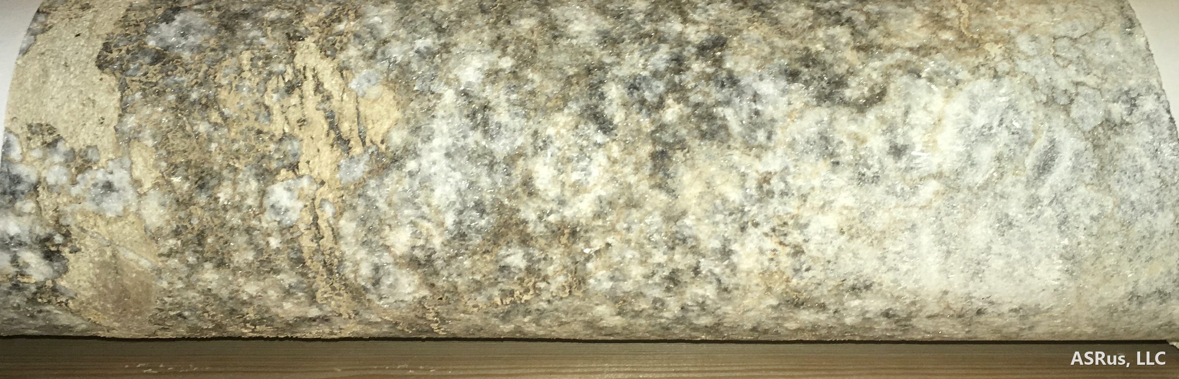 Limestone core recovered from a monitor well, labelled by depth